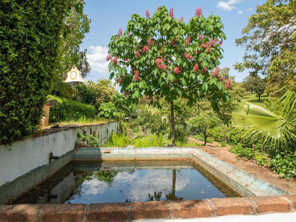 House With Authentic Tiling And Antique Furniture Villa Montemor-o-Novo Luaran gambar